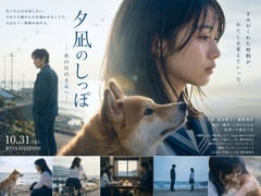 日剧电影海报布局