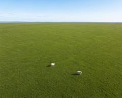 Aerial View of Vast Grassy Plain with Two Sheep