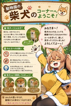 信息图/教育视觉 - 柴犬动物园角落海报